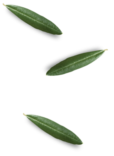home-three-leafs